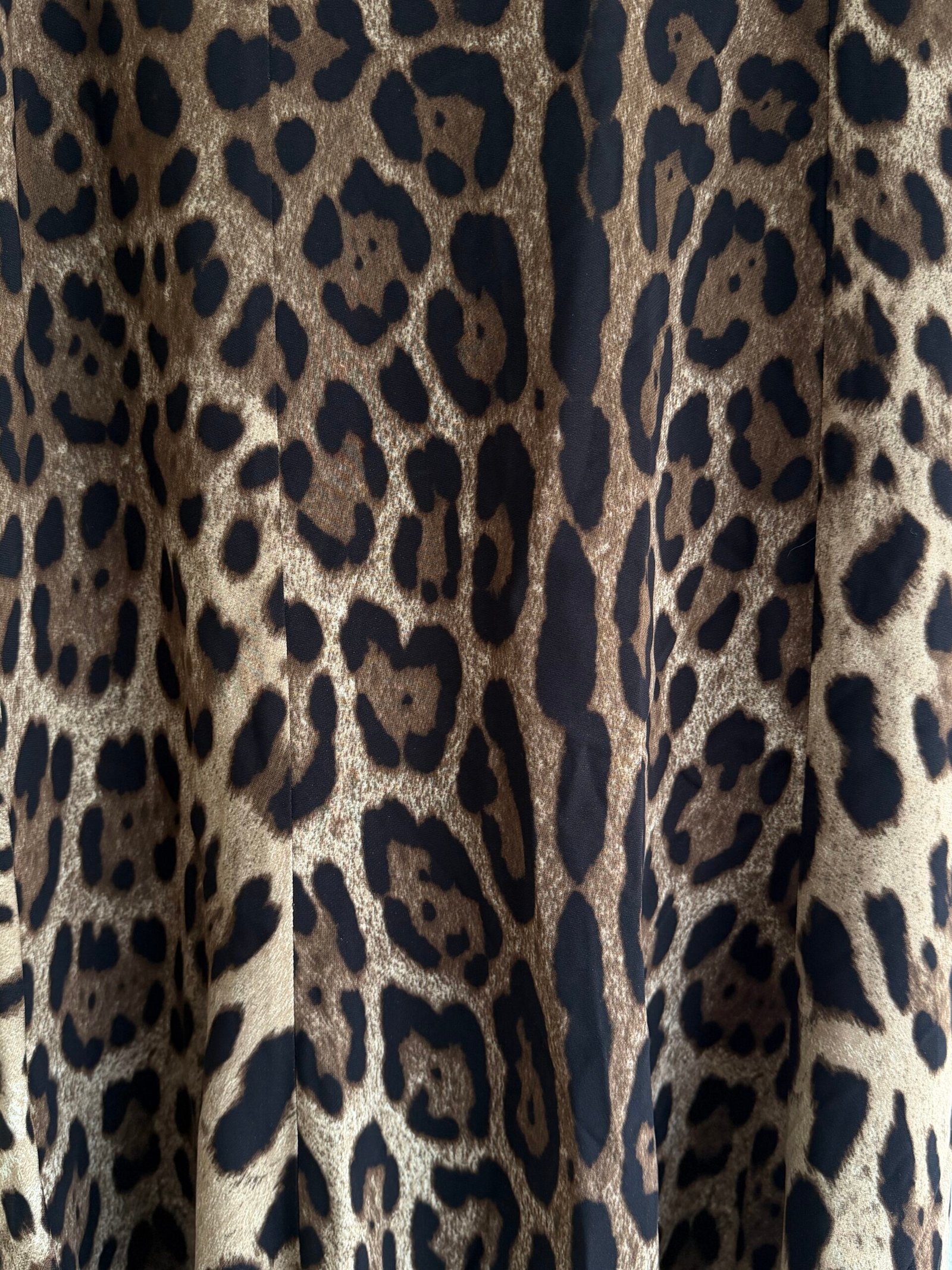 Dolce & Gabbana Leopard Print Maxi Skirt - Image 4